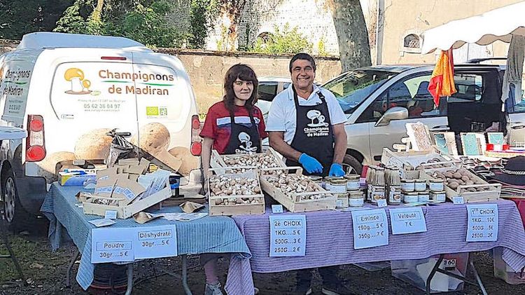 COUP DE CŒUR – La fabrique ASEI cultive le champignon de Madiran